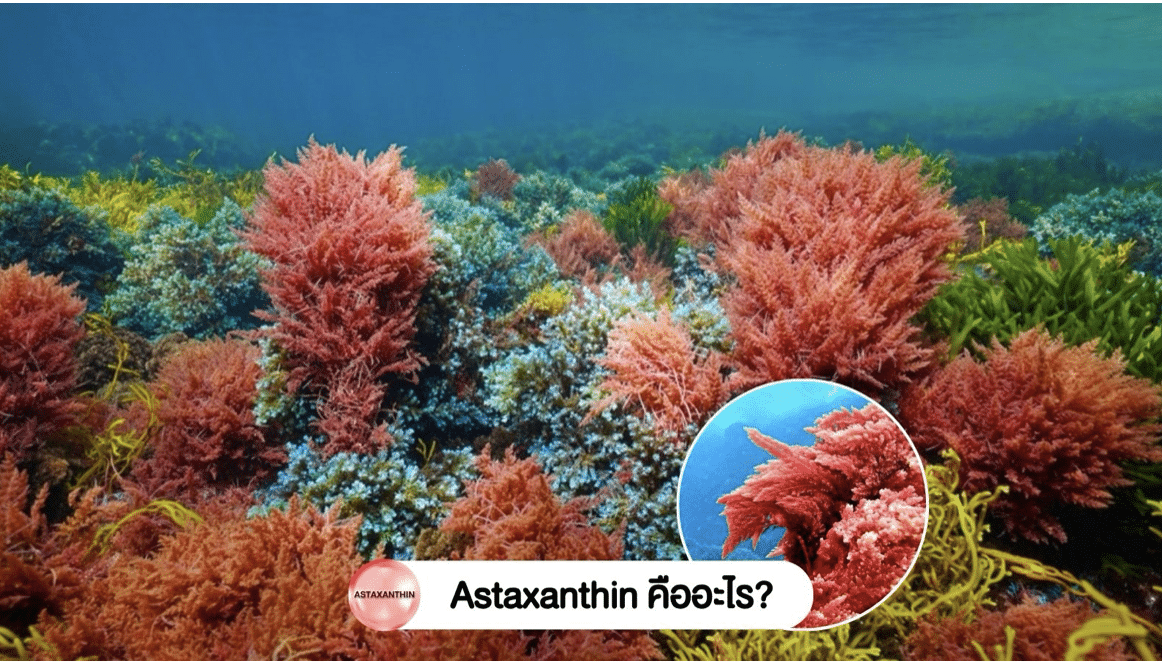 Astaxanthin วิตามินคืนความสาว